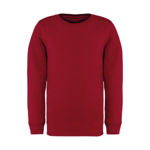 Sweat-shirt col rond enfant coton bio 350 g/m² — Native Spirit NS403 - Hibiscus Red