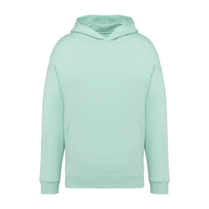 Sweat-shirt capuche oversize coton bio 300 g/m² — Native Spirit NS408 - Brook Green