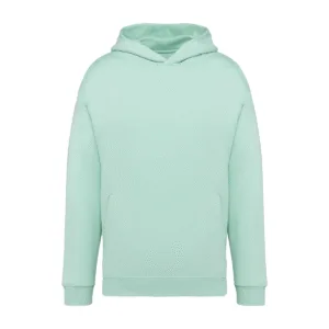 Sweat-shirt capuche oversize coton bio 300 g/m² — Native Spirit NS408 - Brook Green