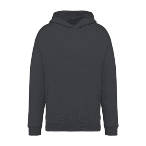 Sweat-shirt capuche oversize coton bio 300 g/m² — Native Spirit NS408 - Iron Grey