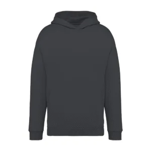 Sweat-shirt capuche oversize coton bio 300 g/m² — Native Spirit NS408 - Iron Grey